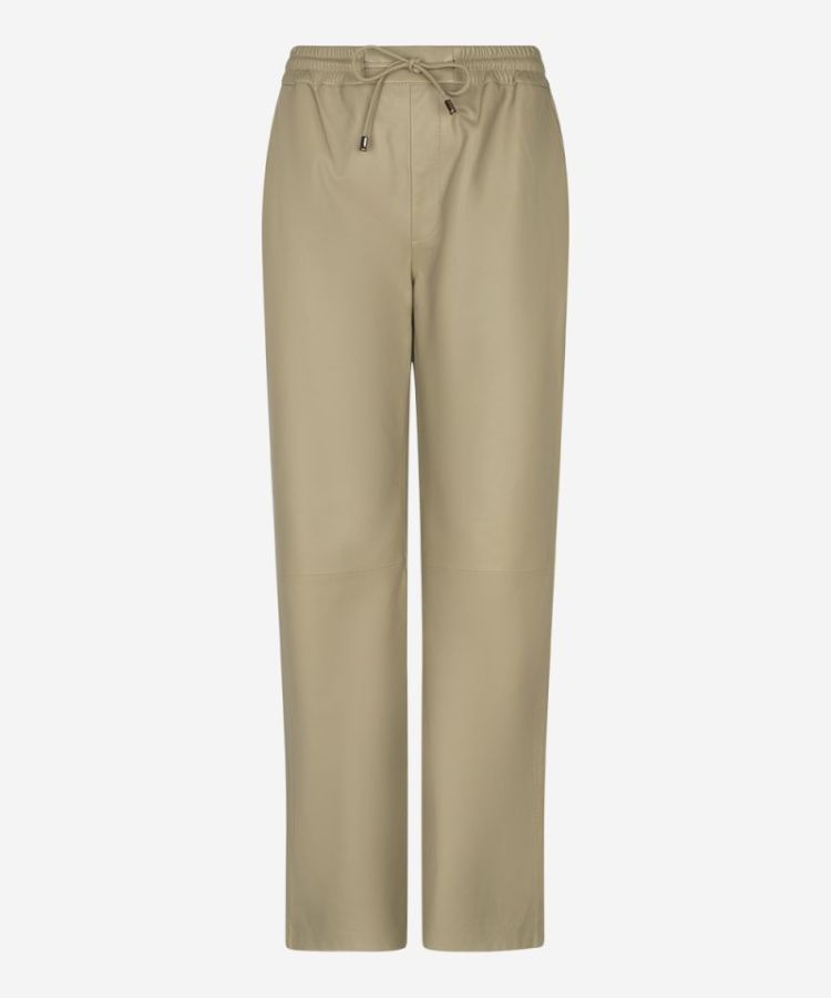 00210 elm green