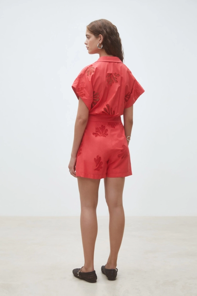 0050550 ROUGE